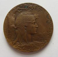Medal of the Paris world art industrial and agricultural exhibition